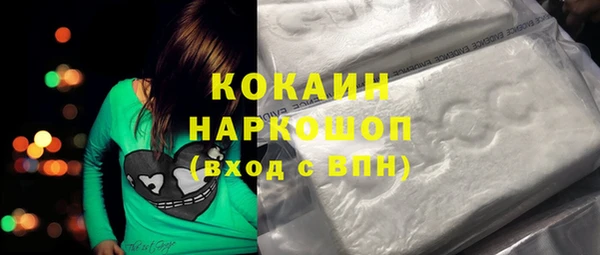ПСИЛОЦИБИНОВЫЕ ГРИБЫ Арсеньев